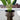 Lupe - Copper Mid-Century Mushroom Planter (Multiple Sizes)