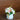 Bouquet de fleurs artificielles en pot Dayla 8''X8''