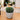 Cactus artificiel en pot Coco 11" 