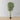 Benja Artificial Ficus Tree Potted Plant 6β