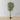 Arbre artificiel en pot Benja Ficus 6'