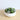 Eva Artificial Succulent Arrangement in Low White Pot