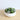 Composition de succulentes artificielles Eva dans un pot blanc bas 