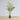 Pijao Artificial Hawaii Kwai Palm Tree Potted Plant 4'