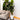Rica - Support à plantes moderne du milieu du siècle avec jardinière blanche (plusieurs tailles)