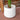 Jardinière en ciment blanc Lazaro 13'' 