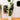 Yelapa Cement Planter (Multiple Sizes)