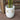 Jardinière en ciment Coco Sandy 9''