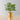 Plante artificielle en pot Calathea 