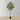 Figgi Artificial Ficus Tree Potted Plant (Multiple Sizes)