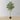Ficus artificiel en pot Figgi (plusieurs tailles)