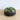 Arrangement de succulentes artificielles Kae dans un pot noir bas 