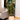 Osos Artificial Korea Bamboo Potted Plant (Multiple Sizes)