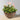 Composition florale artificielle Lyla dans un panier suspendu