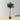 Obee Artificial Olive Tree Potted Plant 4.3'