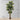 Plante artificielle en pot Dante Fiddle Leaf 10' 
