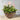 Composition florale artificielle Lyla dans un panier suspendu