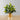 Moreno Potted Faux Watercress Plant