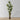 Arbre artificiel Draecena Helena en pot 10' 