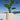 Yucata Cement Planter 15''