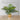Paco Potted Faux Palm Plant