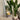 Perla - White Bamboo Mid-Century Mushroom Planter