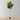 Adelia Artificial Fiddle Leaf Potted Plant 10'