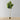 Plante artificielle en pot Adelia Fiddle Leaf 10' 