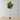 Plante artificielle en pot Adelia Fiddle Leaf 10' 