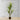 Plante artificielle en pot Aga Century 47'' 