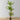 Plante artificielle en pot Alba, nid d'oiseau, fougère, 5,2' 