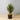 Aloa Artificial Aloe Tree Potted Plant 20''