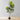 Plante artificielle en pot Alva (plusieurs tailles) 