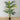 Arlo Artificial Hawaii Kwai Palm Tree Potted Plant (Multiple Sizes)