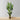 Cana, plante artificielle en pot (plusieurs tailles) 