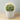 Cactus artificiel en pot Coco 11" 