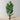 Dama Artificial Bird Of Paradise Potted Plant 10'