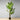 Plante artificielle à feuillage persistant en pot Dira (plusieurs tailles) 
