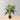 Plante artificielle en pot Dora Alocasia 28"