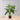 Plante artificielle en pot Dora Alocasia 28"