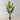 Elza Artificial Bird Of Paradise Potted Plant (Multiple Sizes)