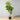 Fafa Artificial Fiddle Leaf Potted Plant (Multiple Sizes)