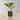 Plante artificielle en pot Fafa (plusieurs tailles) 