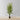 Gali Artificial Fern Potted Plant 5'