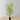 Palmier Areca artificiel en pot Jule (plusieurs tailles)