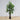 Plante artificielle en caoutchouc Encanto (plusieurs tailles)