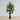 Encanto Artificial Rubber Potted Plant (Multiple Sizes)