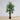 Plante artificielle en caoutchouc Encanto (plusieurs tailles)