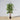 Plante artificielle en bambou coréen Ceja (plusieurs tailles) 