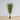 Ceja Artificial Korea Bamboo Potted Plant (Multiple Sizes)